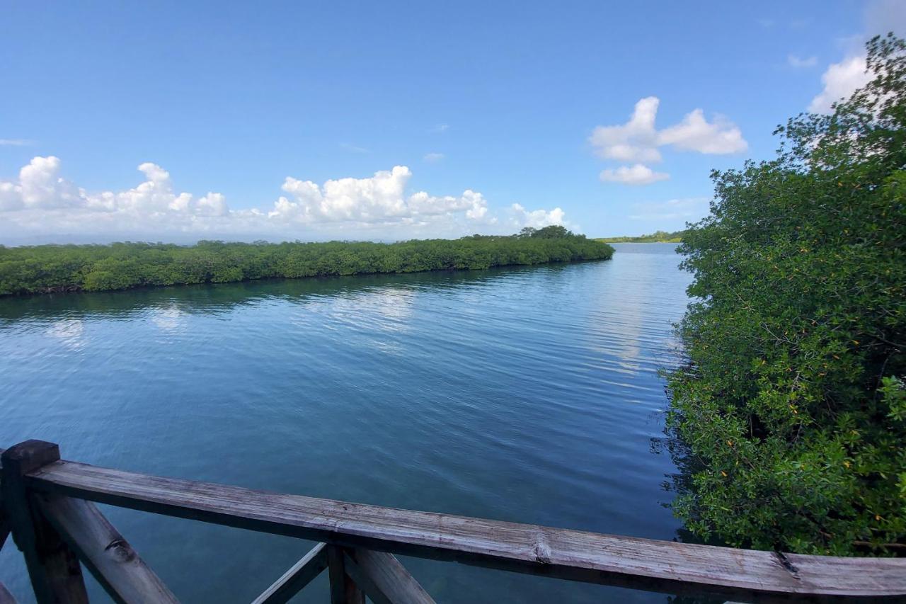 The Sunsetter Bed & Breakfast Bocas del Toro Exterior photo