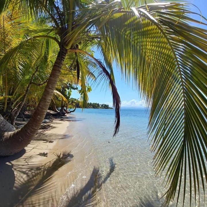 The Sunsetter Bed & Breakfast Bocas del Toro Exterior photo