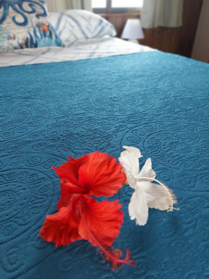 The Sunsetter Bed & Breakfast Bocas del Toro Exterior photo